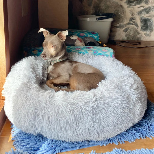 White Plush Bed for small pets