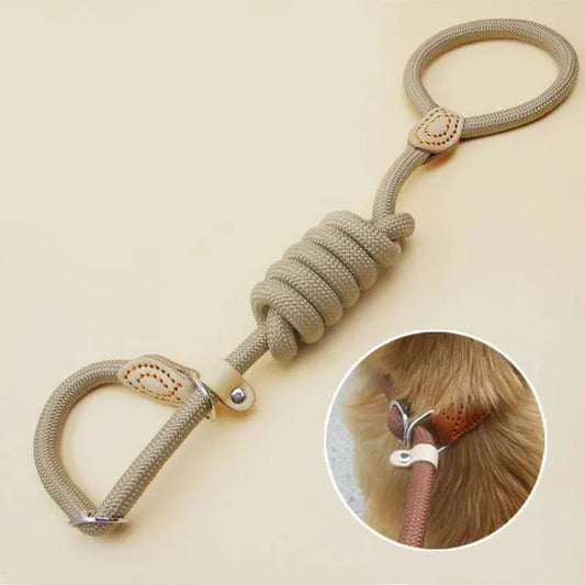 Adjustable Braided Slip Rope Leash for Medium to Large Dogs - Stylish Training with Heavy-Duty Elegance